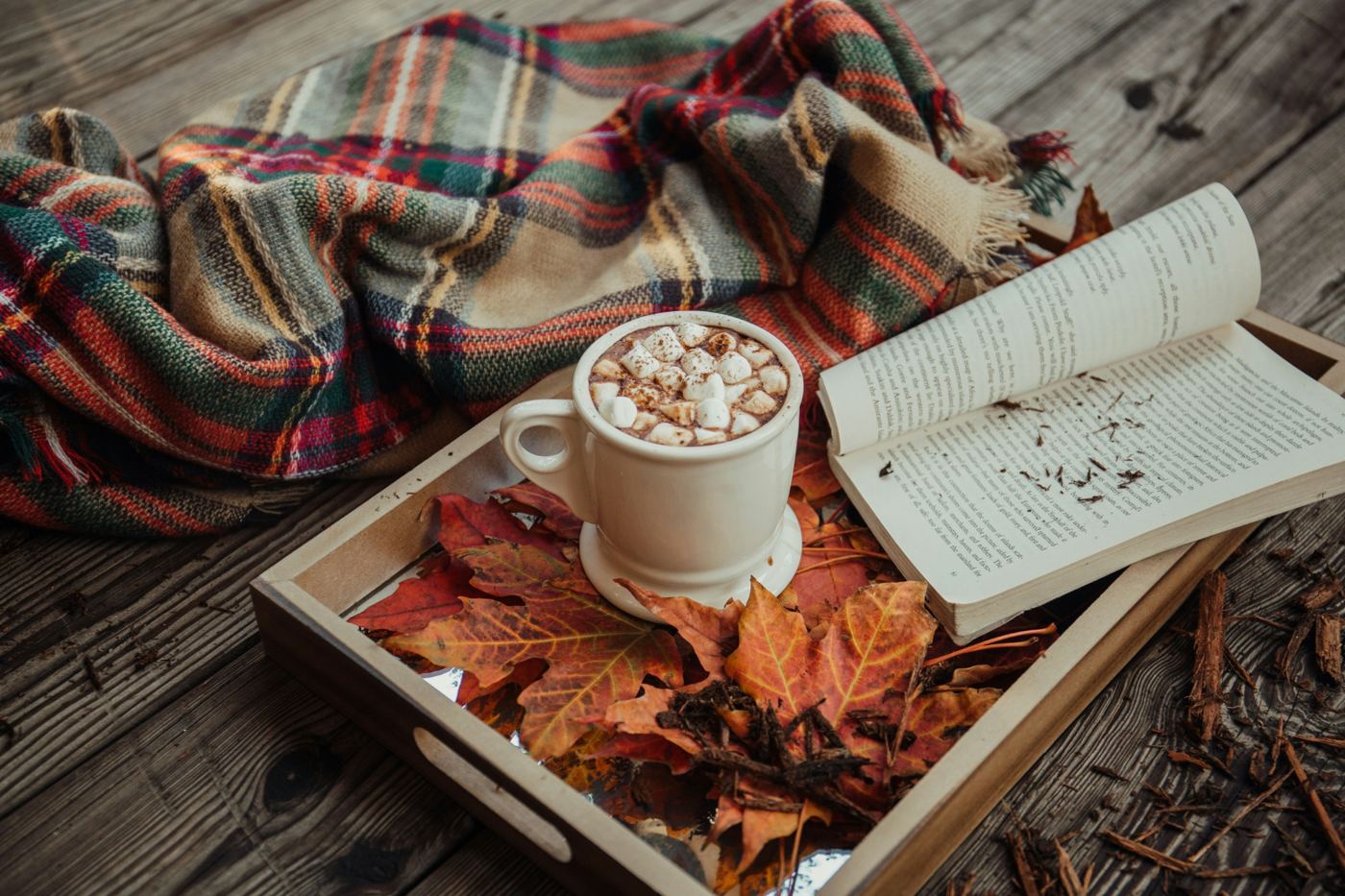 Hot chocolate with marshmallows beside a book and plaid blanket